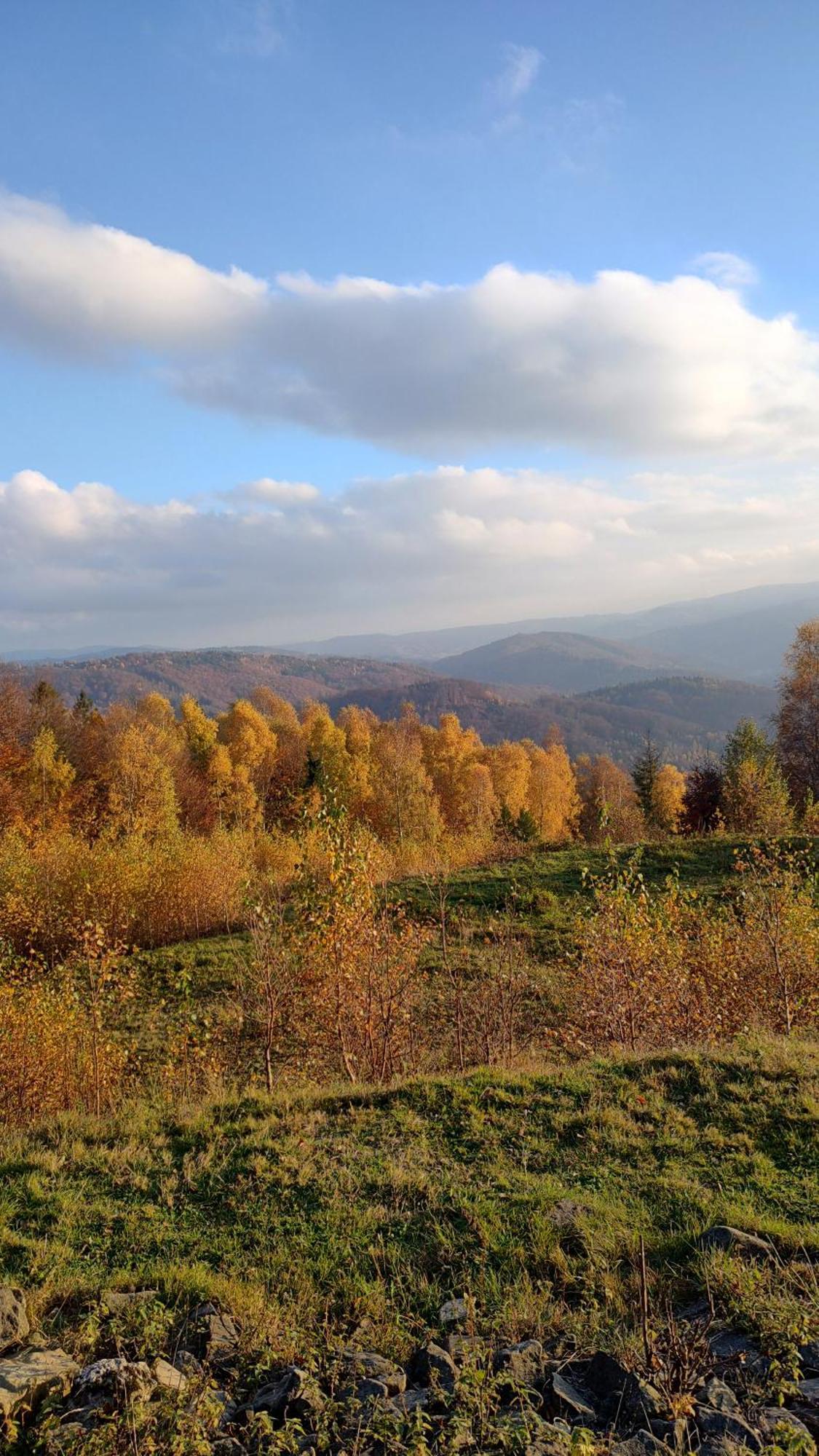 Dog Friendly Dom, Apartamenty Wichrowe Wzgorza Z Basenem Brenna 乌斯特龙 外观 照片