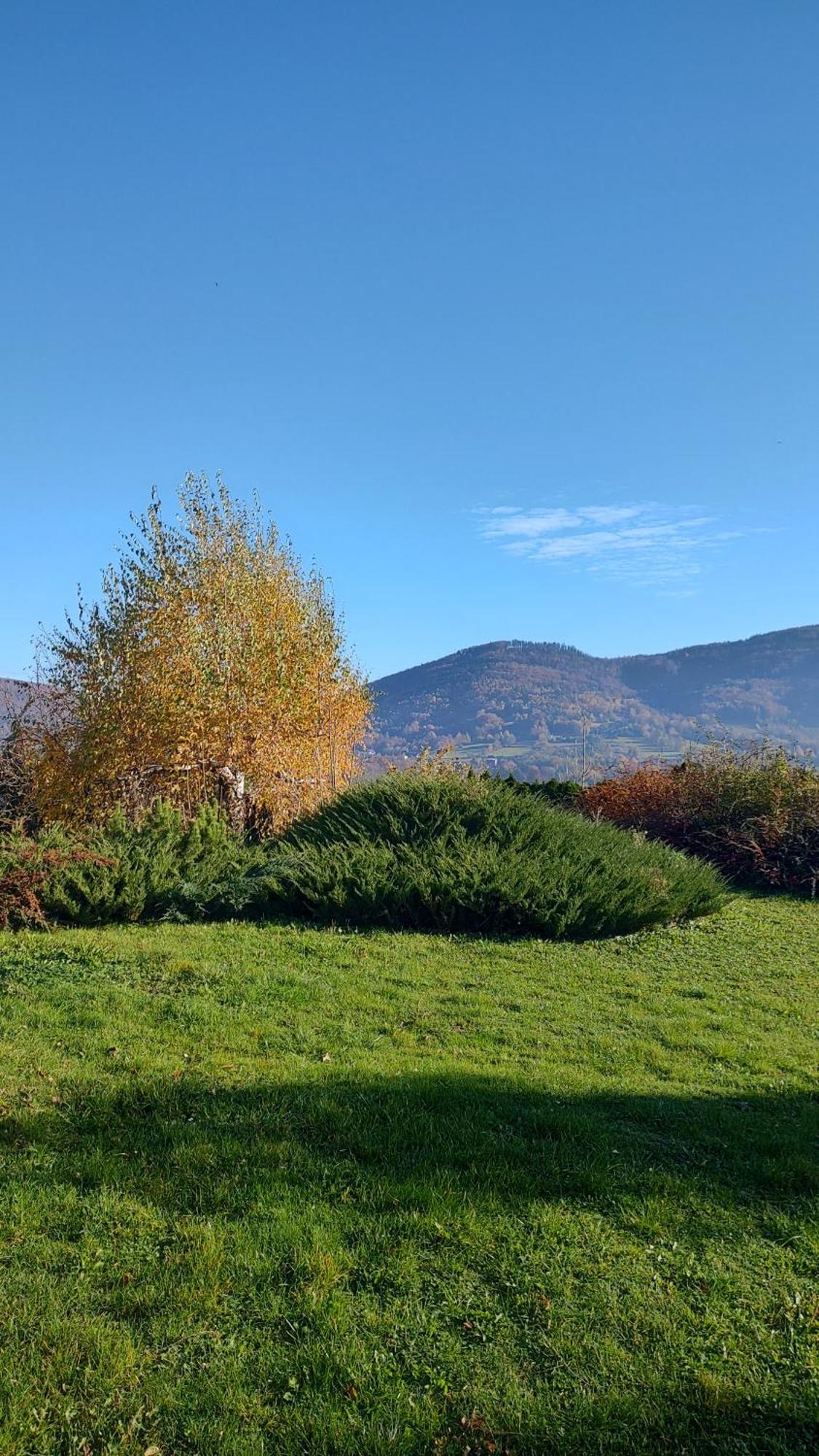 Dog Friendly Dom, Apartamenty Wichrowe Wzgorza Z Basenem Brenna 乌斯特龙 外观 照片